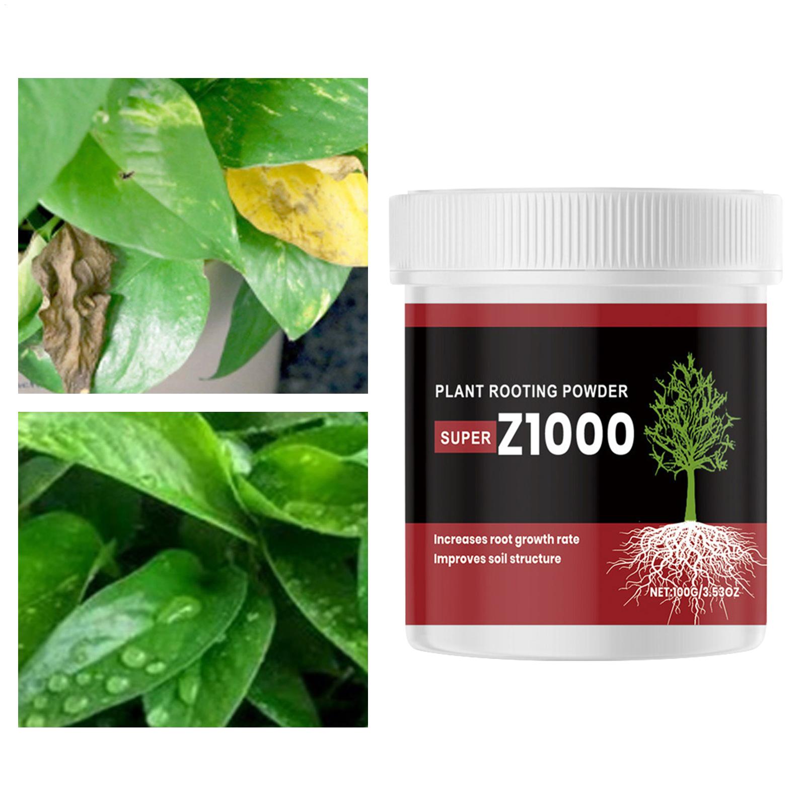 Pó de hormona para estimular a - Root Stimulator Liquid avaliação e preço
