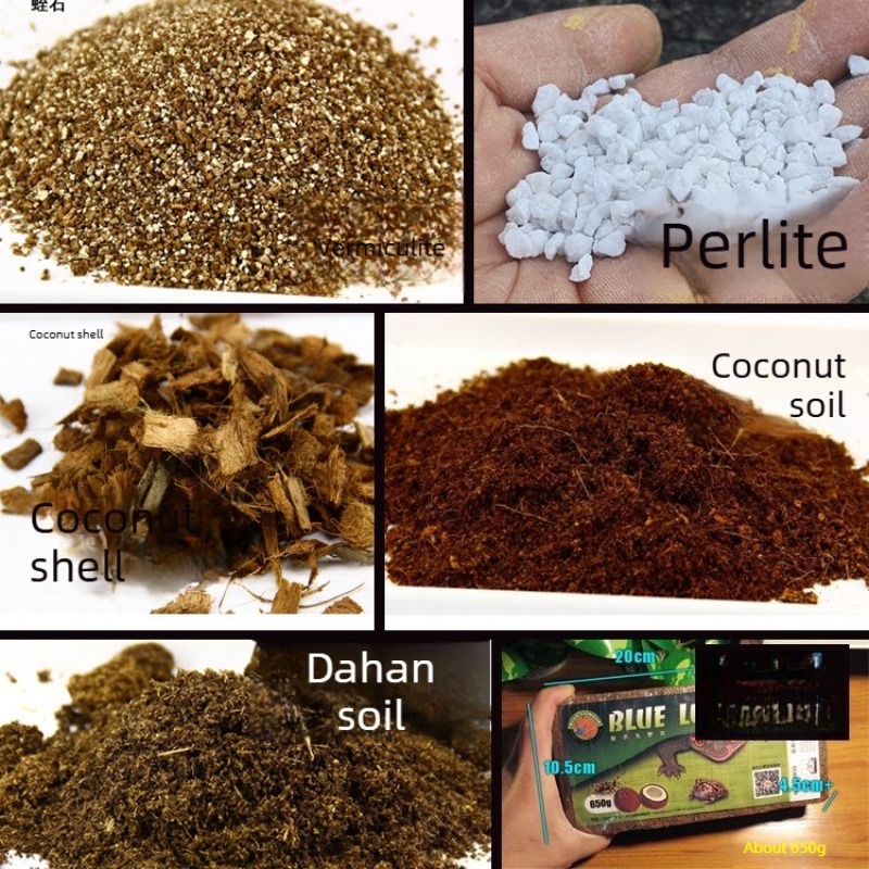 Substrato de Fibra de Coco par - Sphagnum Moss Dry avaliação e preço