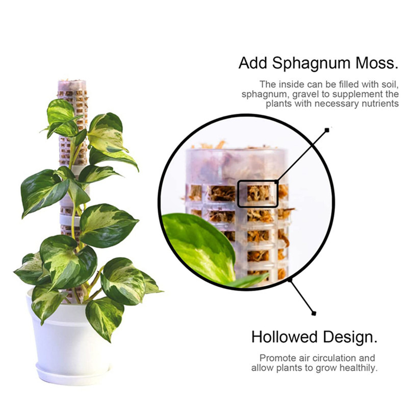 Coluna de Suporte para Plantas - Sphagnum Moss Dry avaliação e preço