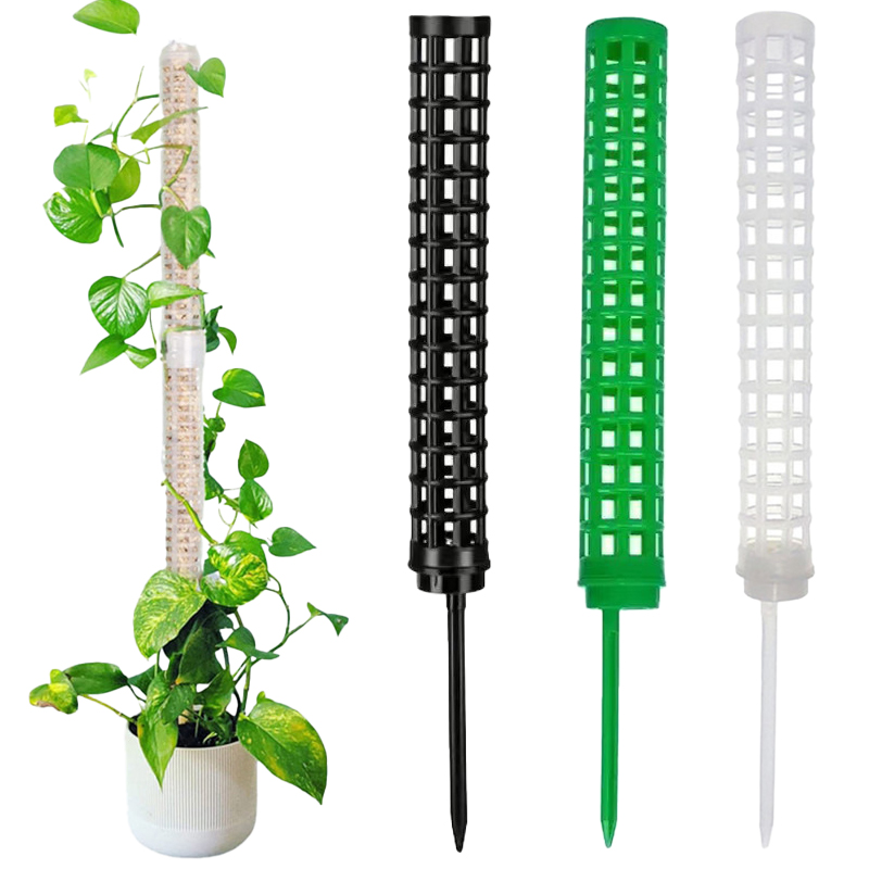 Coluna de Suporte para Plantas - Sphagnum Moss Dry avaliação e preço